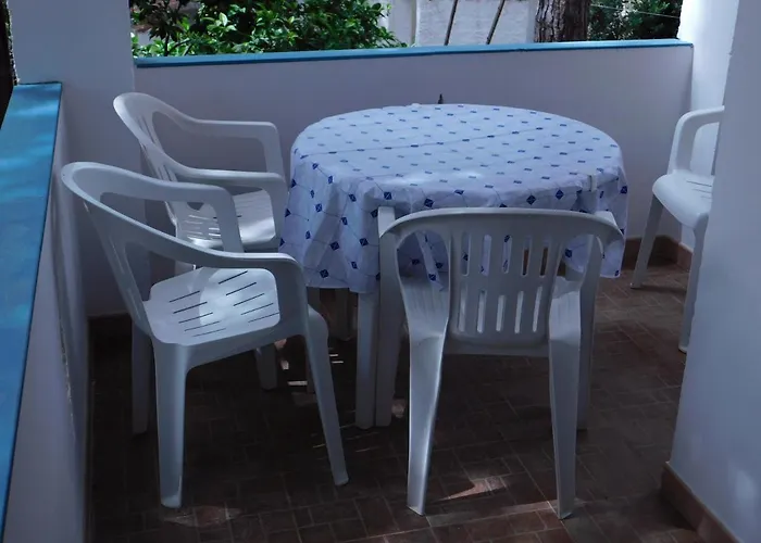 Summer Time Apartamento