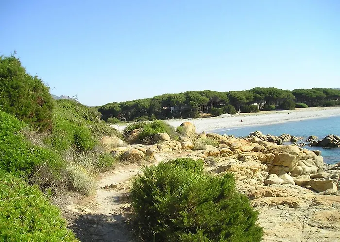 Summer Time Apartamento