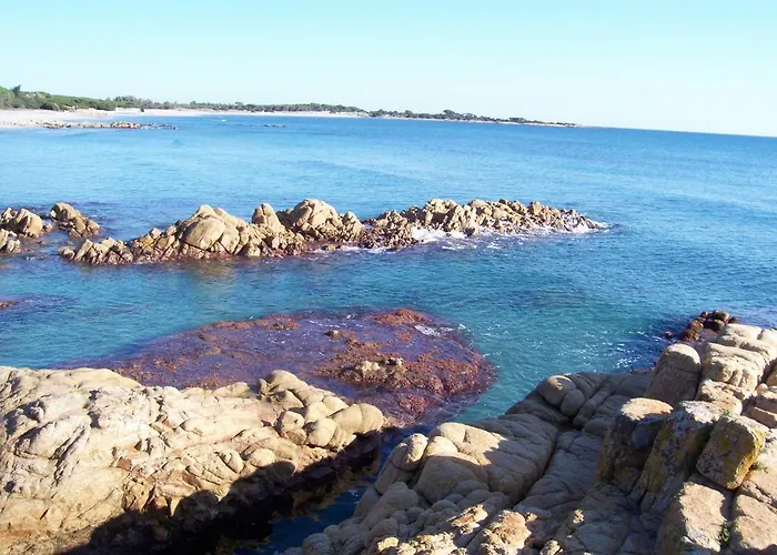 Apartamento Summer Time *